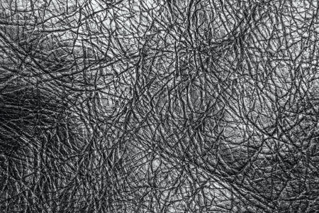 leather shiny texture