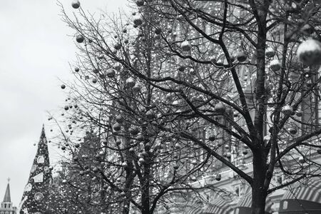 MOSCOW - JANUARY 02, 2017: Christmas decorations on trees on Red Square near the GUM building. Black and white photographyのeditorial素材
