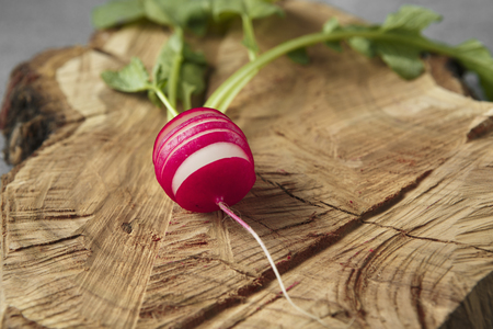 Freshly harvested, purple colorful radish on wooden cutting board. Growing radish. Growing vegetables. Seasonal Cooking, food styling. European red radishes (Raphanus sativus). raw foods conceptの写真素材