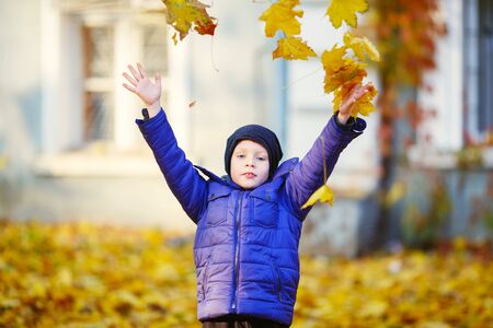 Portrait of happy joyful beautiful little boy outdoors at the autumn. Child holding a yellow maple leaves. Kid throws up a autumn yellowed foliageの写真素材