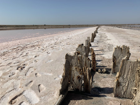 A beautiful salt lake with pink water. Beautiful view of pink lake on summer day