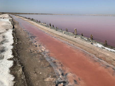 A beautiful salt lake with pink water. Beautiful view of pink lake on summer day