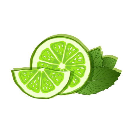 lime and mint on white background - vector illustrationのイラスト素材