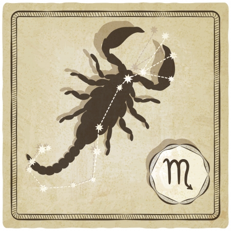 astrological sign - scorpio - vector illustrationのイラスト素材