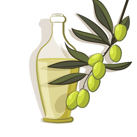 olive branch - vector illustrationのイラスト素材