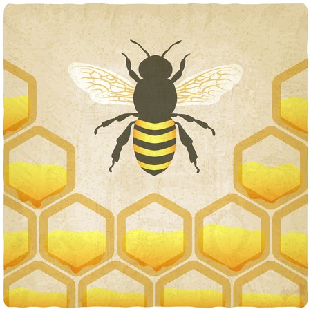 bee honeycomb old background illustrationのイラスト素材