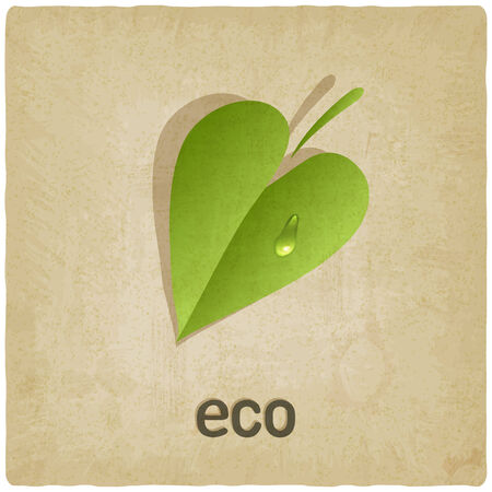 leaf eco old background - vector illustrationのイラスト素材