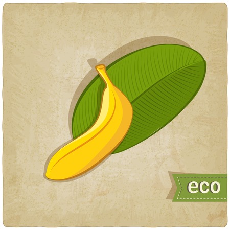 fruit eco old background - vector illustration  eps 10のイラスト素材