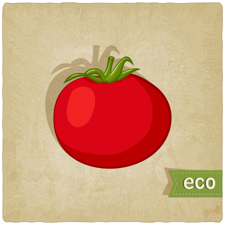 tomato eco background - vector illustration. eps 10のイラスト素材