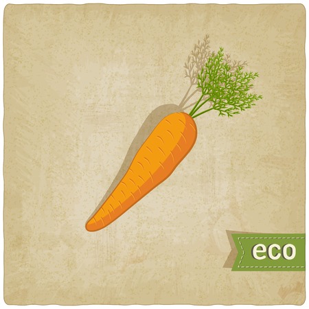 carrot eco background - vector illustration. eps 10のイラスト素材