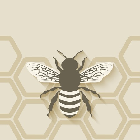 bee honeycomb background - vector illustration. eps 10のイラスト素材