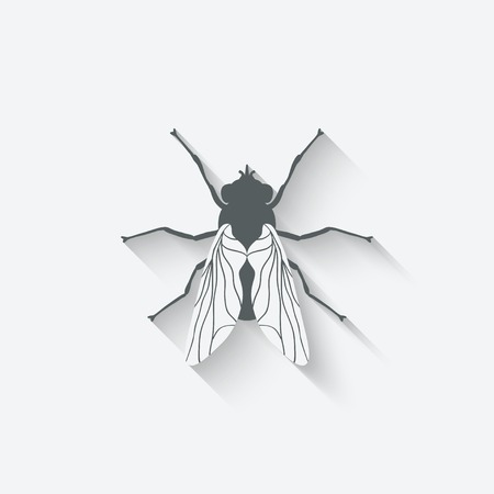 fly insect icon - vector illustration. eps 10のイラスト素材