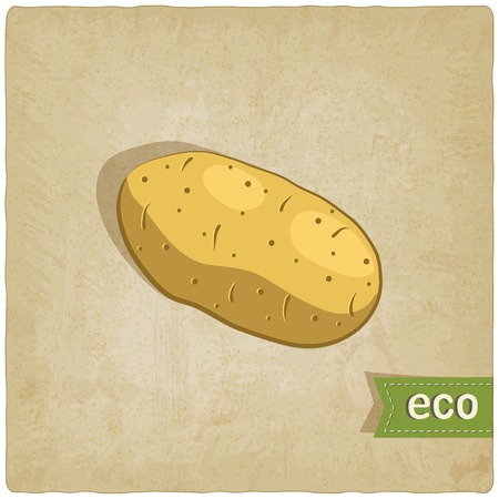 potato eco background - vector illustration.のイラスト素材