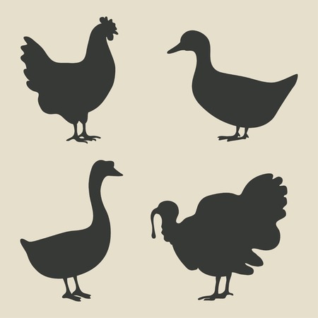 domestic fowl icon - vector illustration. のイラスト素材