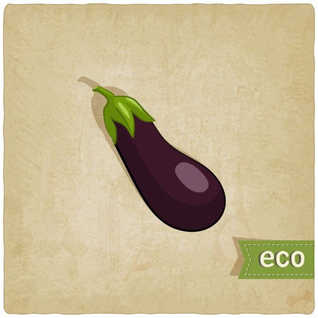 aubergine eco background - vector illustration. のイラスト素材