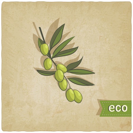 olive eco background - vector illustration. eps 10のイラスト素材