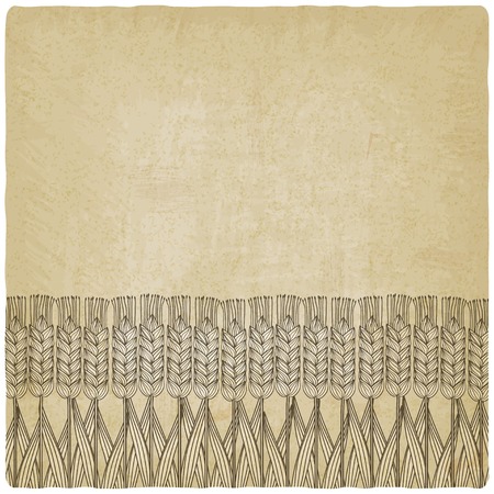 wheat harvest old background - vector illustration. のイラスト素材