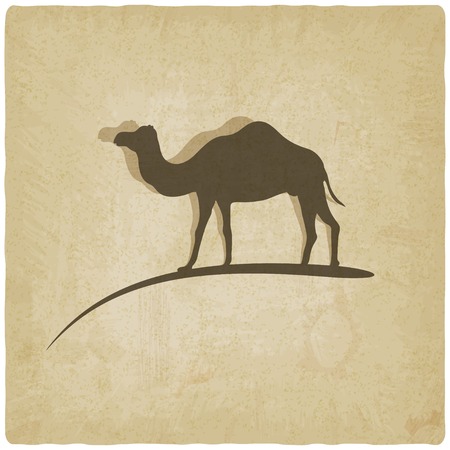 camel in old backgroundのイラスト素材