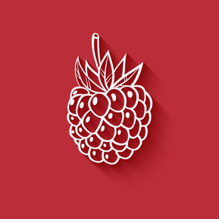 raspberry on red background - vector illustration. eps 10