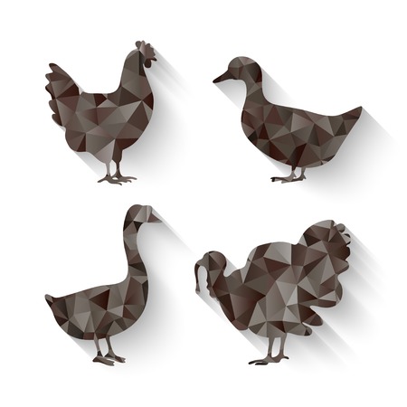 domestic fowl symbolのイラスト素材