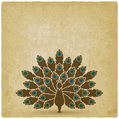 stylized silhouette of peacock with open tailのイラスト素材