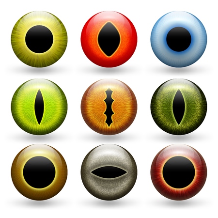 Different animals eyes set. vector illustration - eps 10のイラスト素材