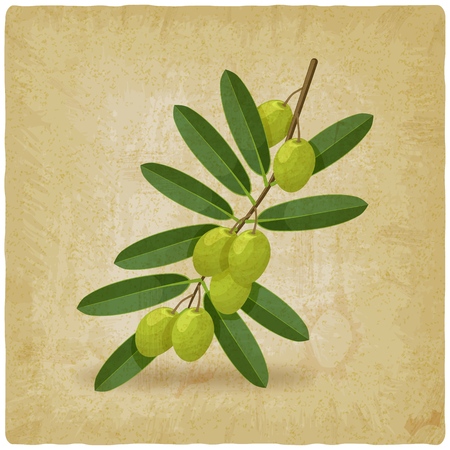 Green olive branch vintage background. vector illustration - eps 10のイラスト素材