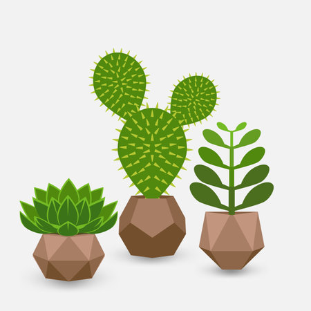 Set of houseplant succulents in pots. Vector illustrationのイラスト素材