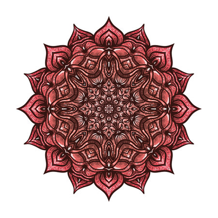 Circular pattern pink floral mandala on white background. Vector illustrationのイラスト素材