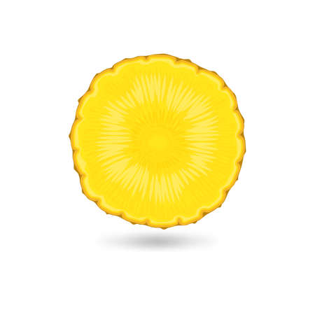 Pineapple tropical plant on white background. Vector illustrationのイラスト素材