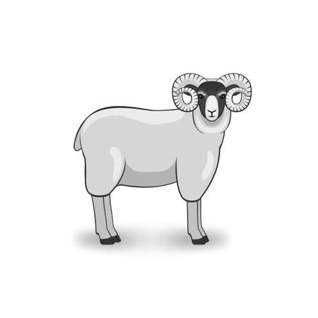 Merino ram on white background. Vector illustrationのイラスト素材