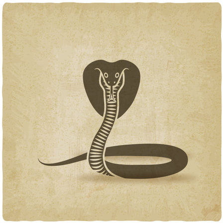 Cobra With Spread Hood. Vector Illustrationのイラスト素材