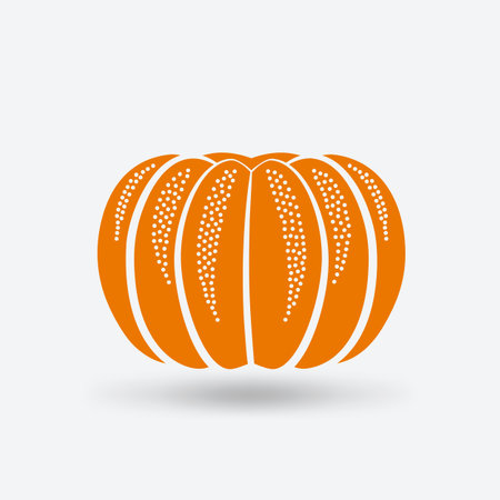 Orange mandarin fruits on white background. Vector illustration.のイラスト素材