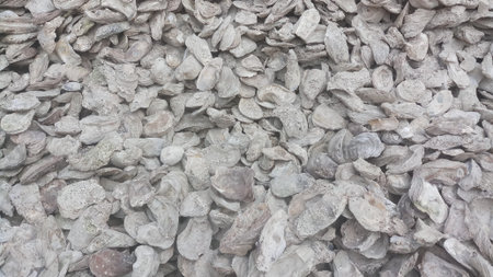 heap fossil