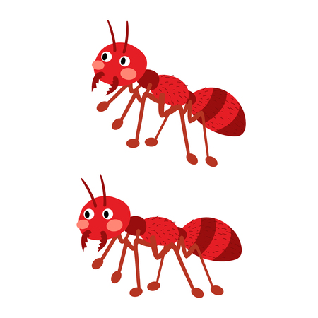 Fire ants cartoon character. Isolated on white background. Vector illustration.のイラスト素材