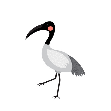 Ibis bird animal cartoon character. Isolated on white background. Vector illustration.のイラスト素材
