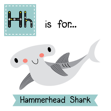 H letter tracing. Hammerhead Shark. Cute children zoo alphabet flash card. Funny cartoon animal. Kids abc education. Learning English vocabulary. Vector illustration.のイラスト素材