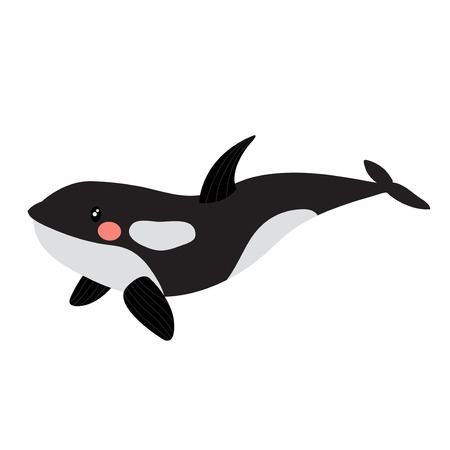 Killer whale orca animal cartoon character. Isolated on white background. Vector illustration.のイラスト素材