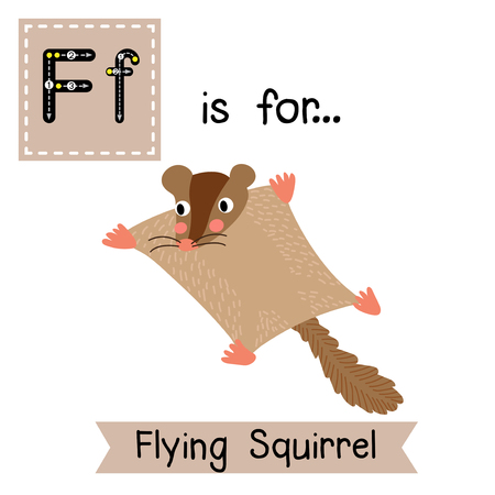 F letter tracing. Flying Squirrel. Cute children zoo alphabet flash card. Funny cartoon animal. Kids abc education. Learning English vocabulary. Vector illustration.のイラスト素材