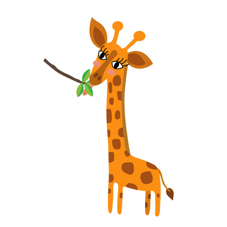 Giraffe eating leaves animal cartoon character. Isolated on white background. Vector illustration.のイラスト素材