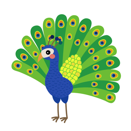 Peacock animal cartoon character. Isolated on white background. illustration.のイラスト素材