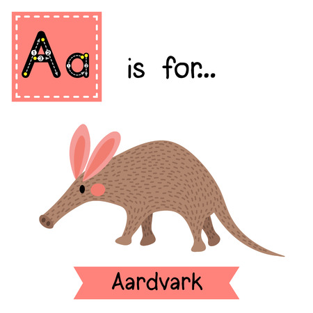 A letter tracing. Walking Aardvark. Cute children zoo alphabet flash card. Funny cartoon animal. Kids abc education. Learning English vocabulary. illustration.のイラスト素材