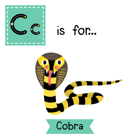 C letter tracing. Black and Yellow Cobra snake. Cute children zoo alphabet flash card. Funny cartoon animal. Kids abc education. Learning English vocabulary. illustration.のイラスト素材