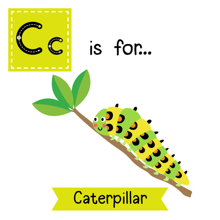 C letter tracing. Caterpillar crawling on the branch. Cute children zoo alphabet flash card. Funny cartoon animal. Kids abc education. Learning English vocabulary. illustration.のイラスト素材