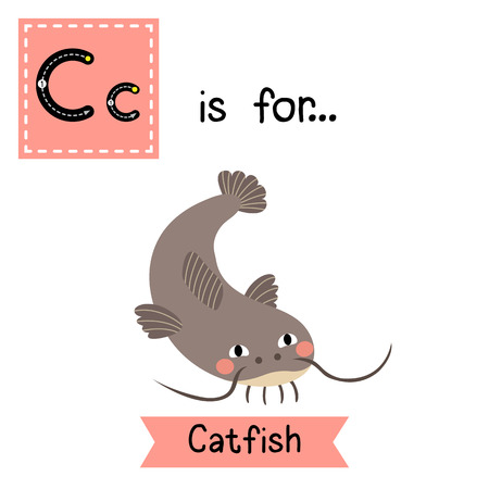 C letter tracing. Funny Catfish. Cute children zoo alphabet flash card. Funny cartoon animal. Kids abc education. Learning English vocabulary. illustration.のイラスト素材