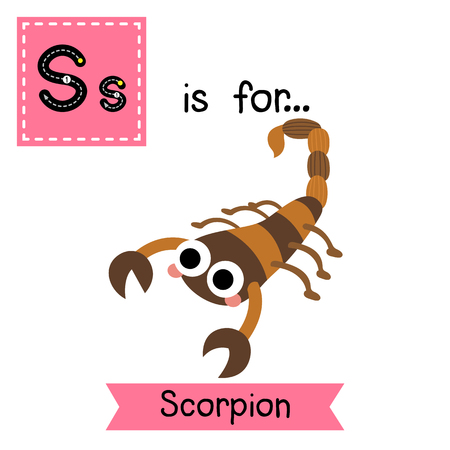 S letter tracing. Scorpion. Cute children zoo alphabet flash card. Funny cartoon animal. Kids abc education. Learning English vocabulary. illustration.のイラスト素材