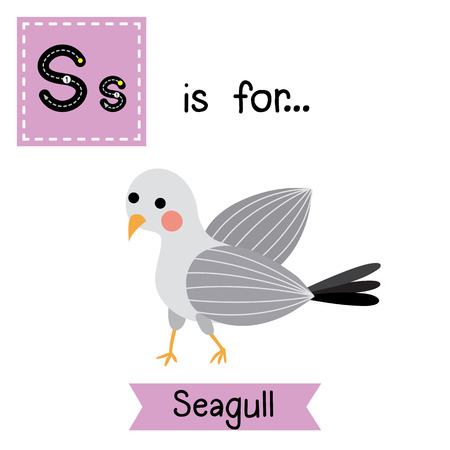 S letter tracing. Standing Seagull bird. Cute children zoo alphabet flash card. Funny cartoon animal. Kids abc education. Learning English vocabulary. illustration.のイラスト素材