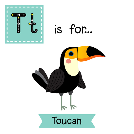 T letter tracing. Standing Toucan bird. Cute children zoo alphabet flash card. Funny cartoon animal. Kids abc education. Learning English vocabulary.  illustration.のイラスト素材