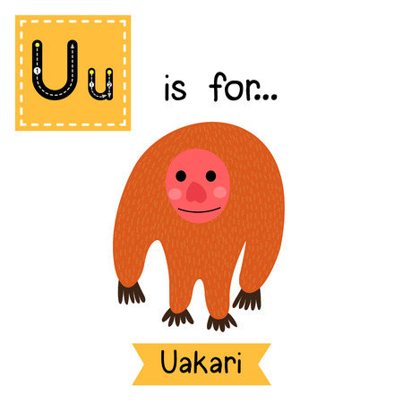 U letter tracing. Standing Uakari. Cute children zoo alphabet flash card. Funny cartoon animal. Kids abc education. Learning English vocabulary. illustration.のイラスト素材