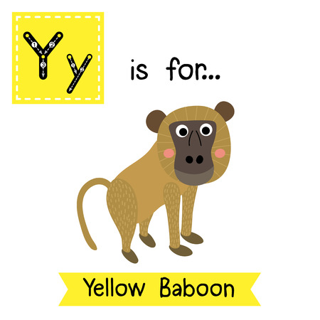 Y letter tracing. Yellow Baboon monkey. Cute children zoo alphabet flash card. Funny cartoon animal. Kids abc education. Learning English vocabulary. illustration.のイラスト素材